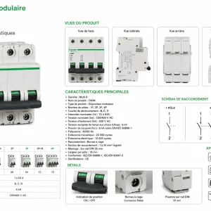 Disjoncteur modulaire C60N